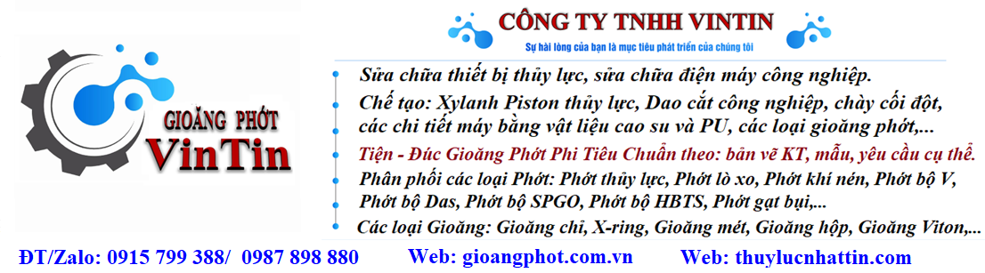 Gioăng Phớt VinTin